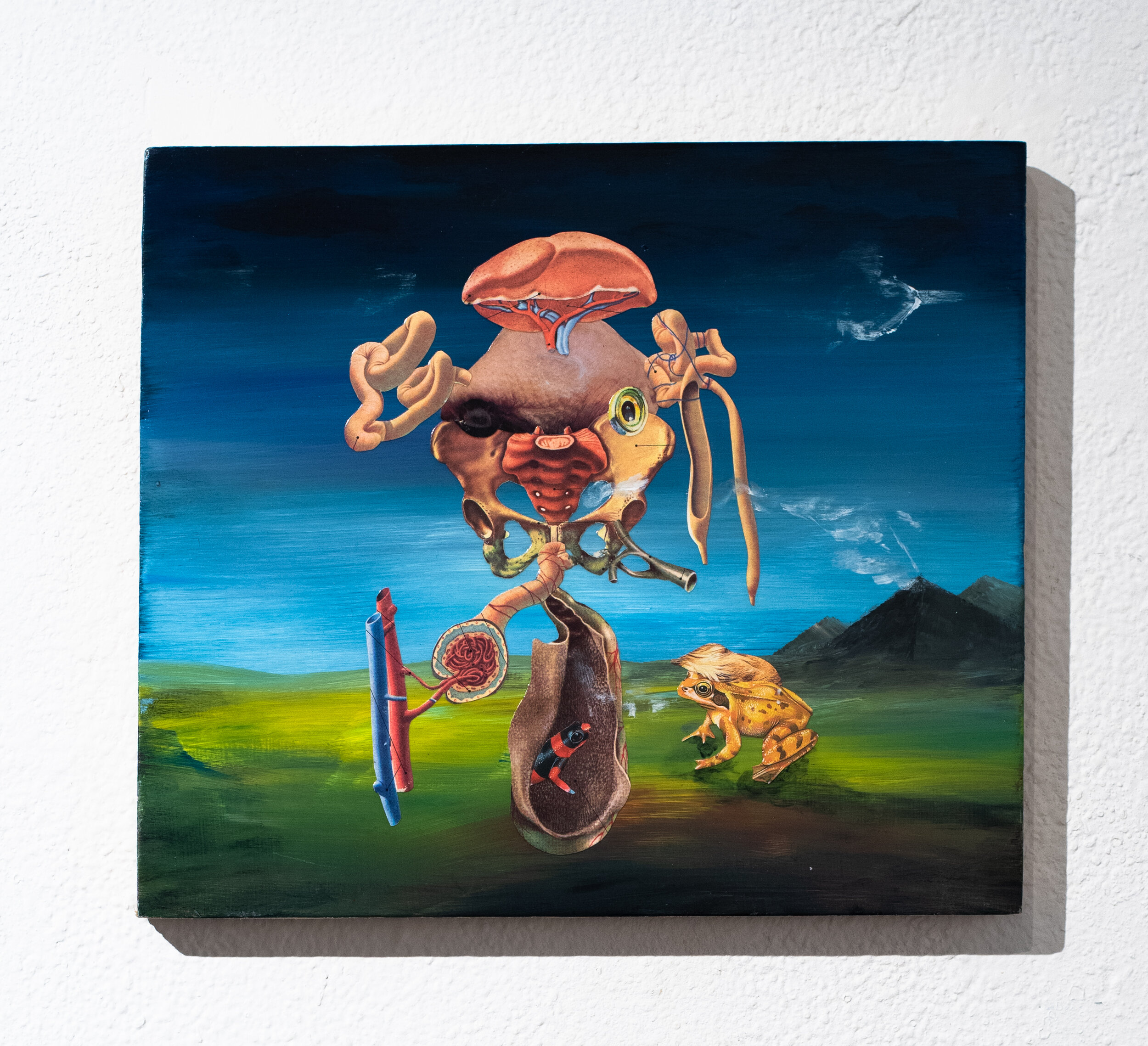 Ontogeny Recapitulates Phylogeny