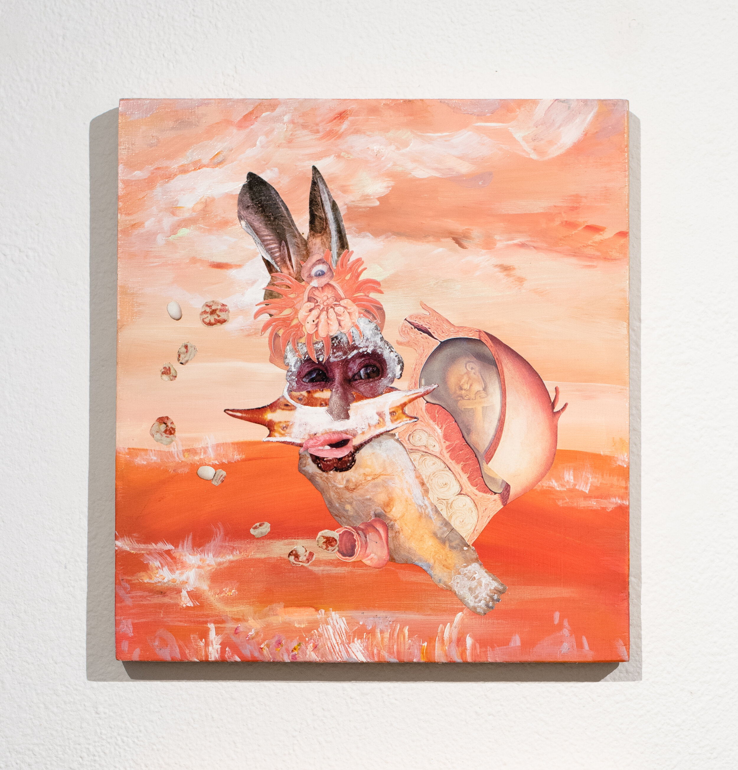 Follow the White Rabbit