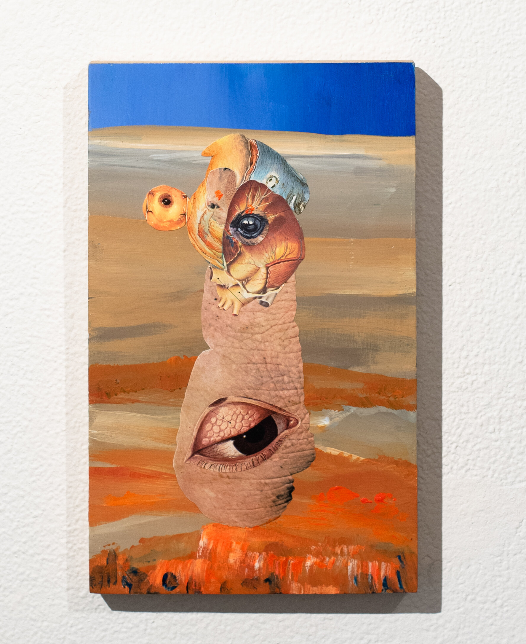 Biological Mythology