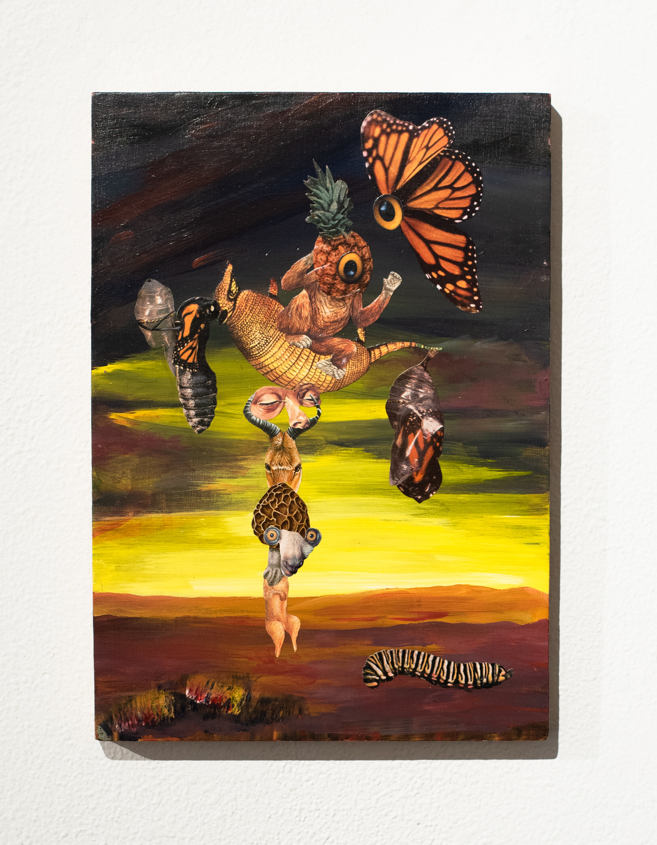 Project Monarch: Life Out Of Balance