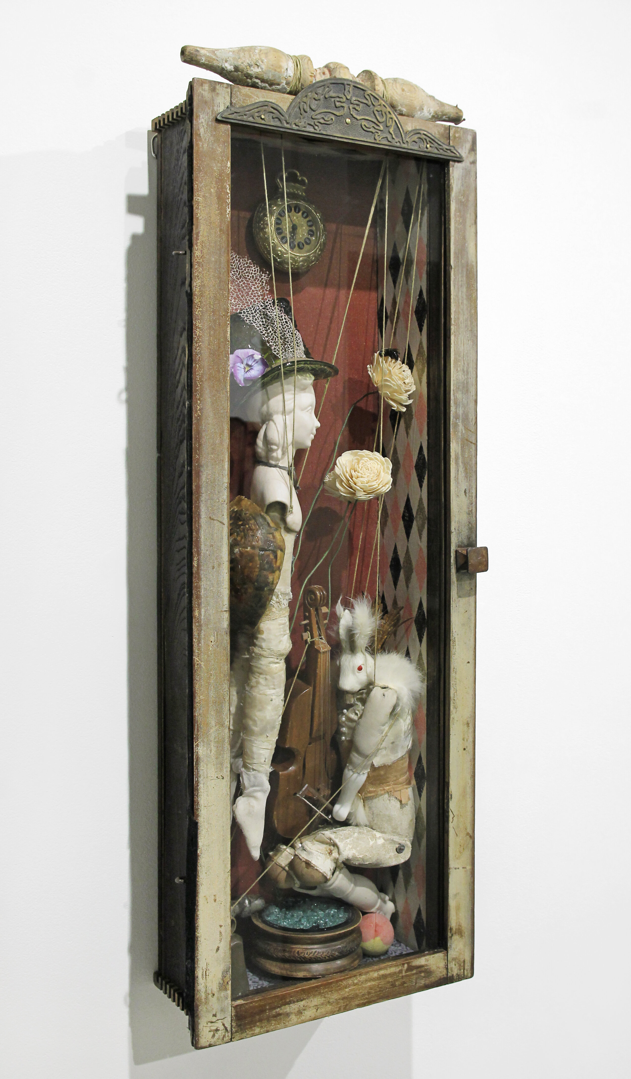 Your Tortoise My Hair