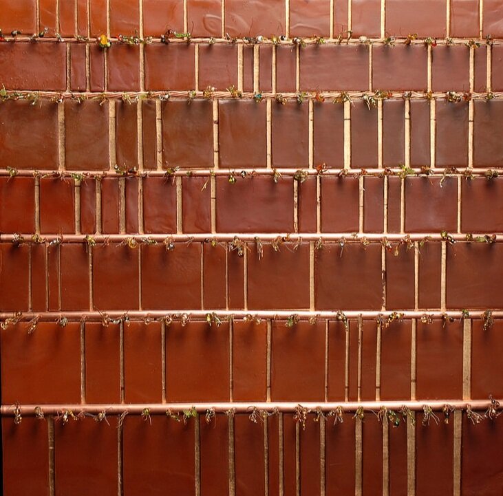 Spring Planting Cornfield