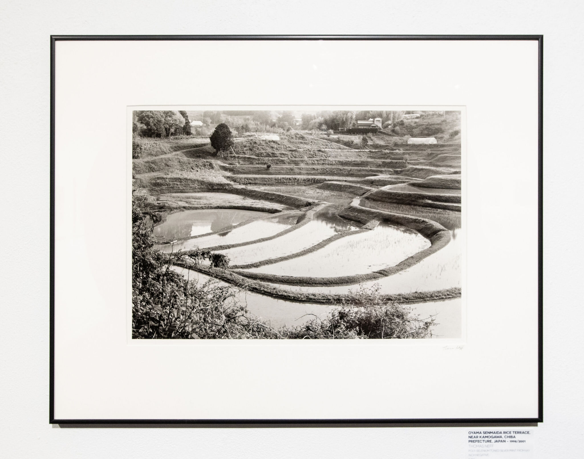 Oyama Senmaida Rice Terrace, near Kamogawa, Chiba Prefecture, Japan – 1998/2021