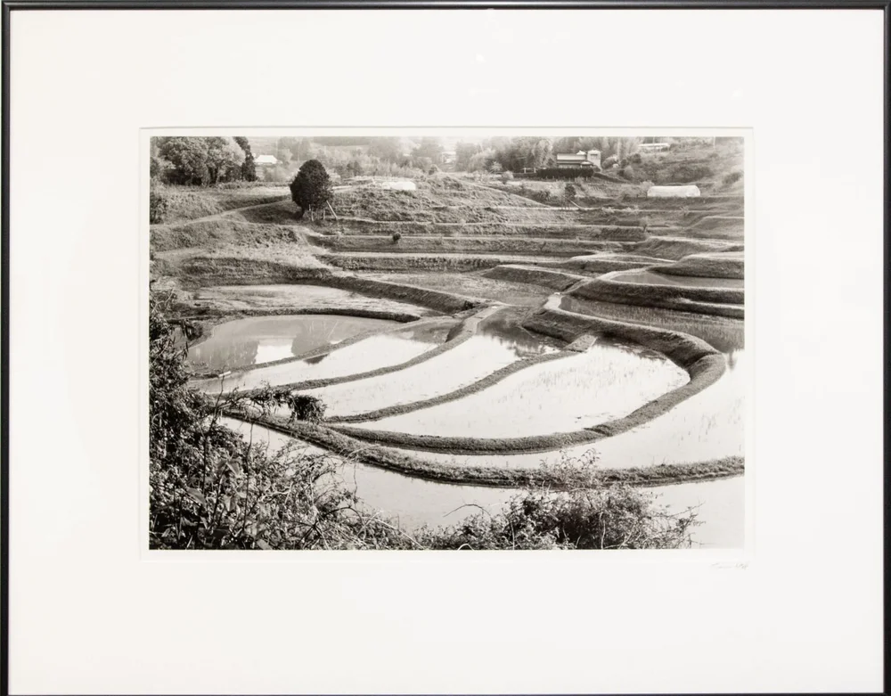 Oyama Senmaida Rice Terrace Near Kamogawa Chiba Prefecture Japan 1998 21 Baton Rouge Gallery Since 1966