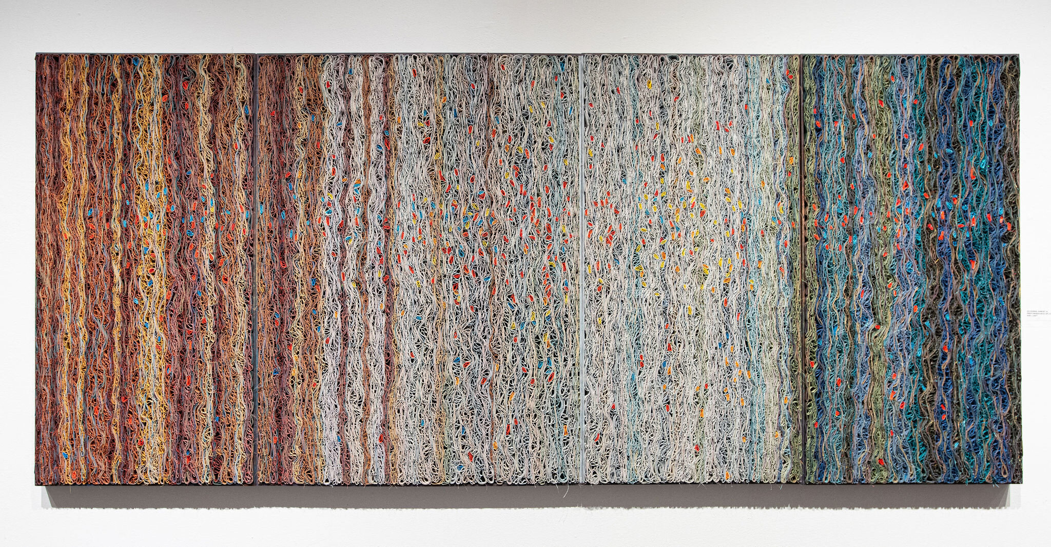 Hovering Amidst a Preponderance of Color and Light