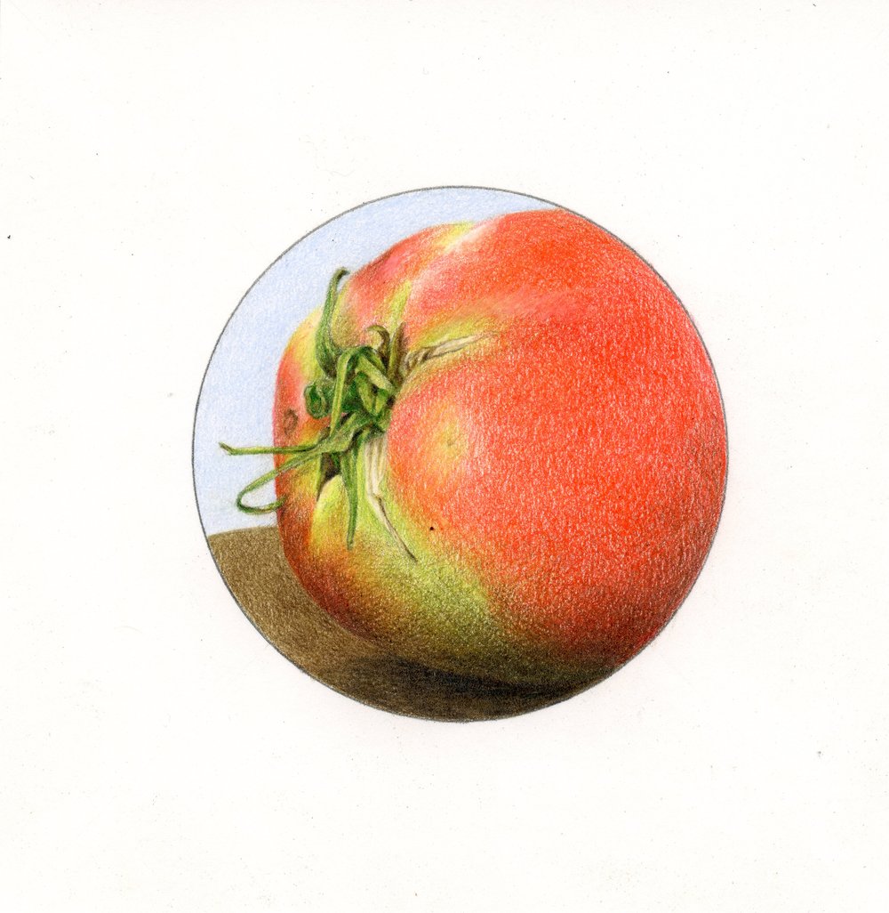 Tomato — Baton Rouge Gallery | Since 1966