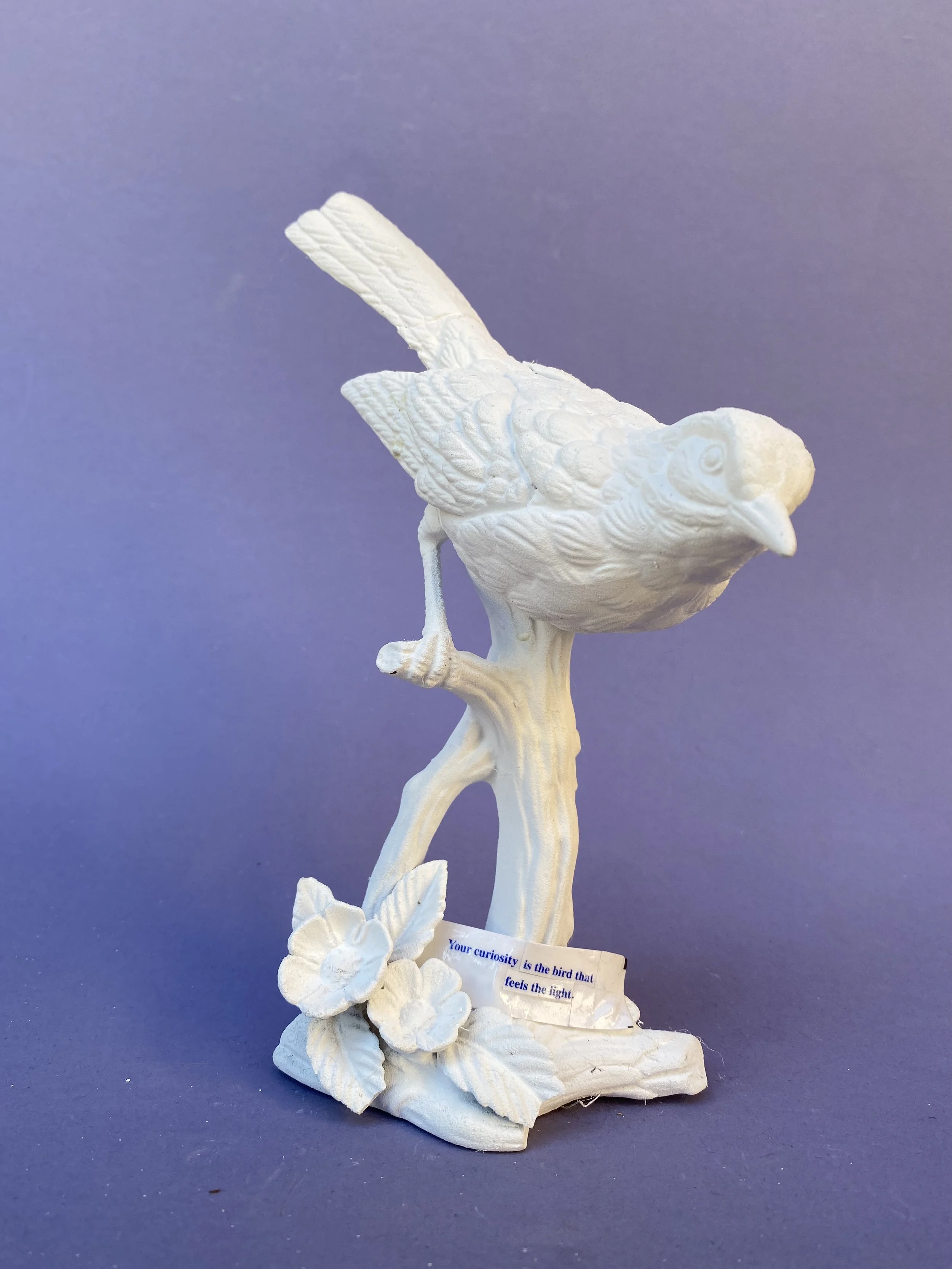 Your curiosity is the bird that feels the light.jpeg