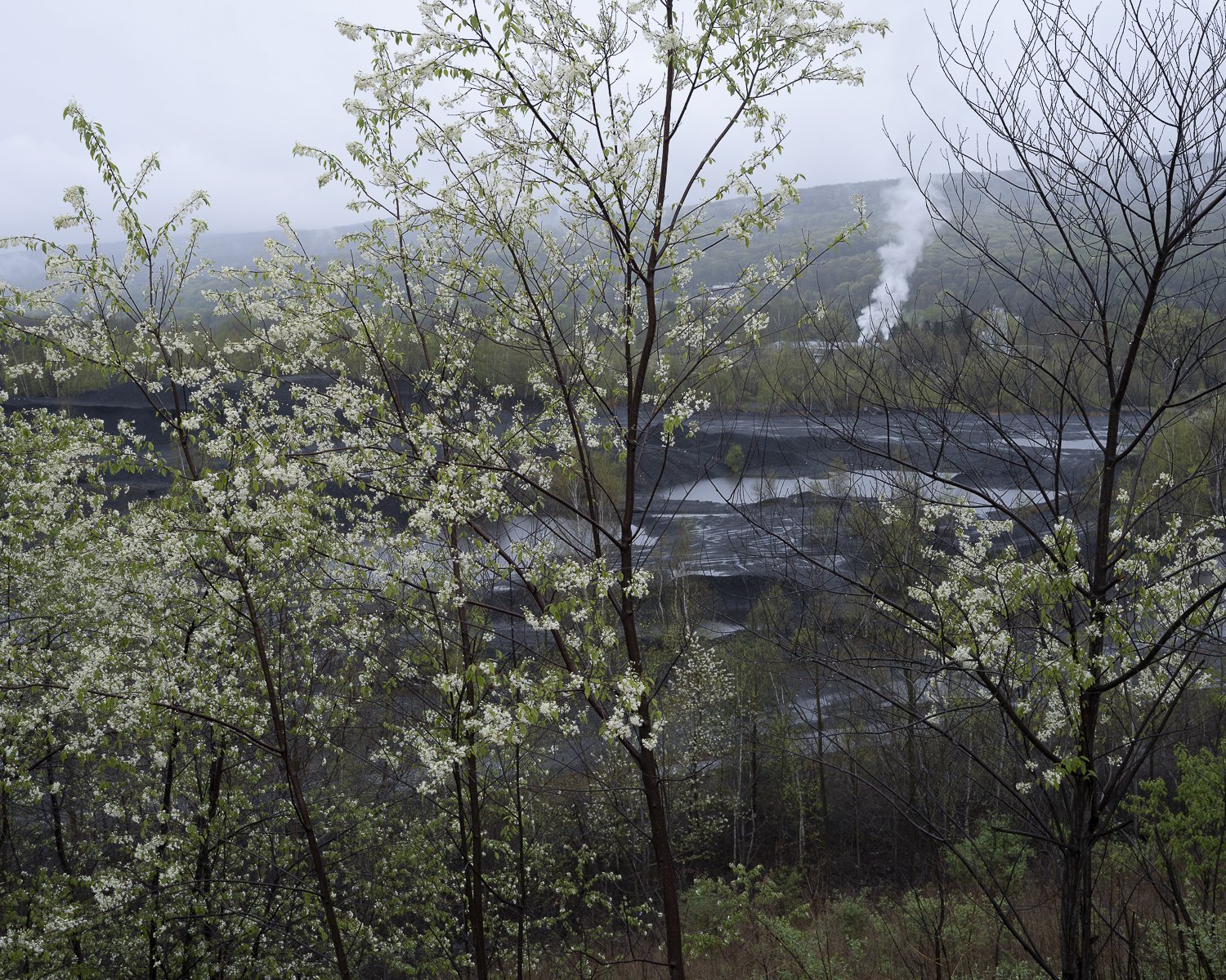 Carbondale, PA, 2021