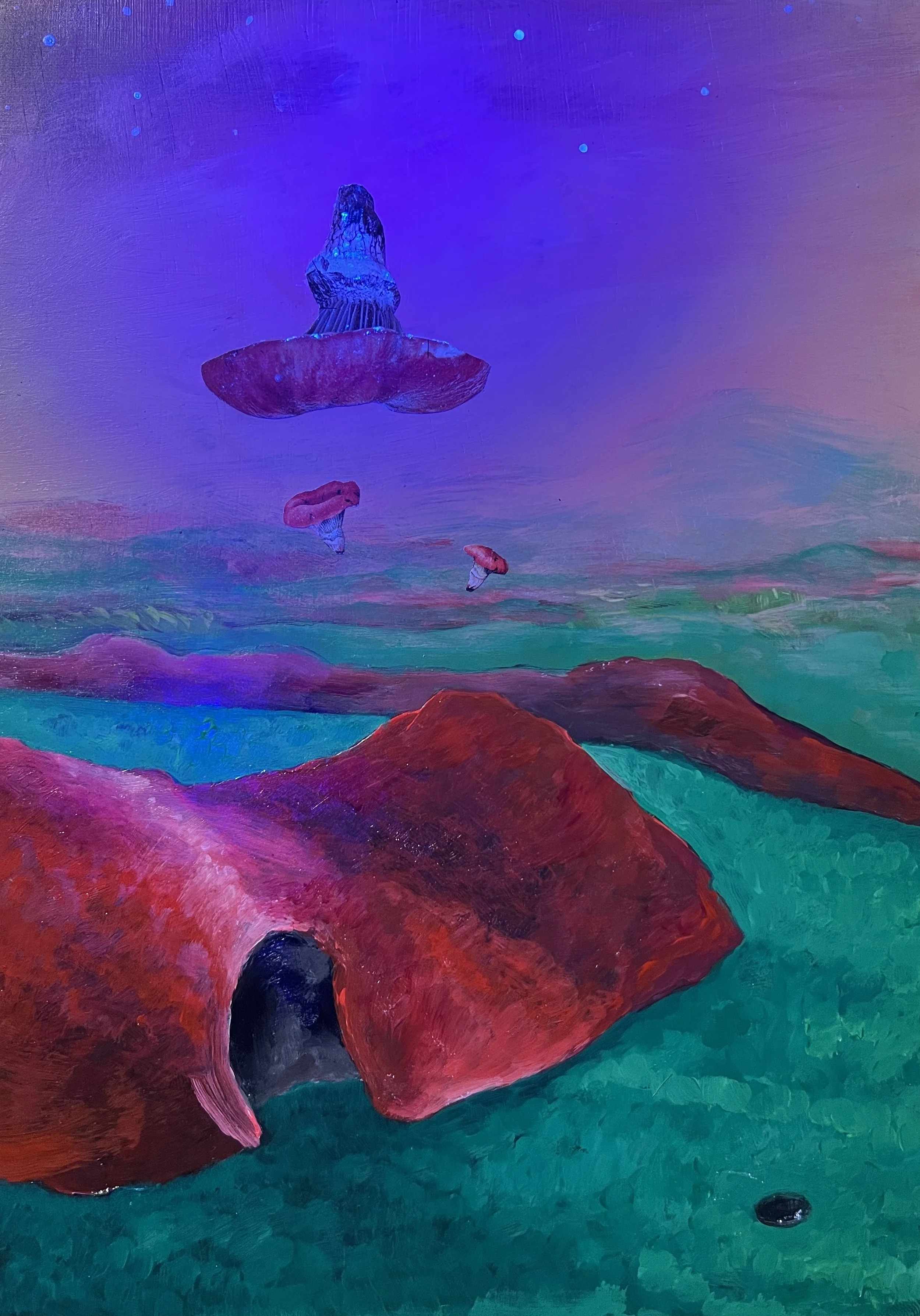 astrological-astroturf-2.jpg