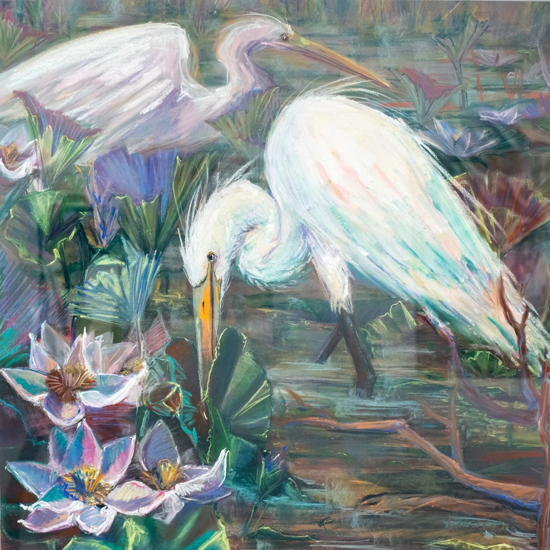 Egrets