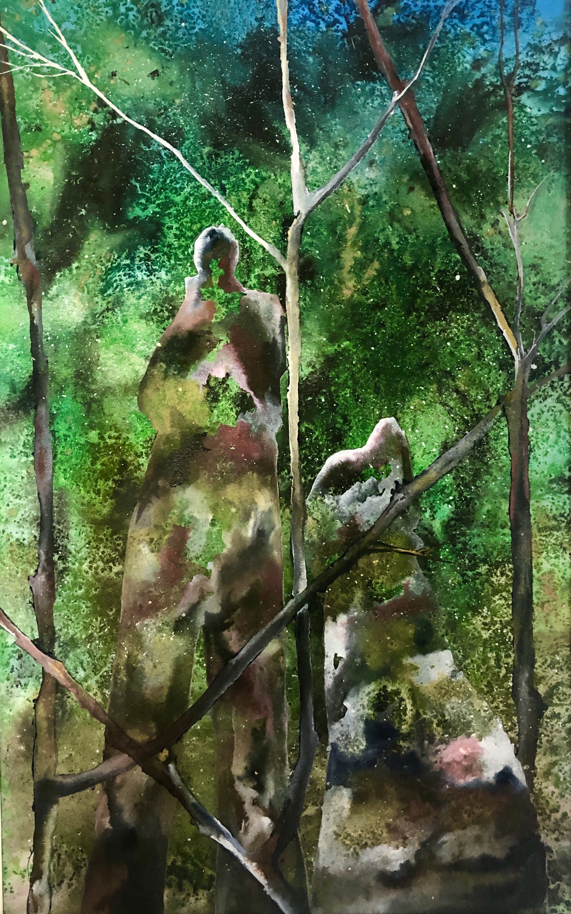 Looking in Darkening Evening Embrace.JPG