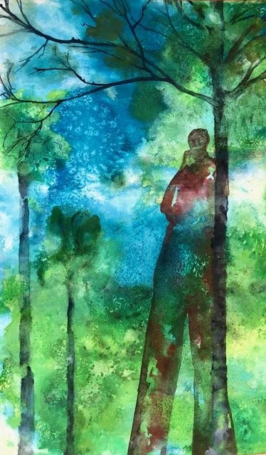 Contemplative Shadowing