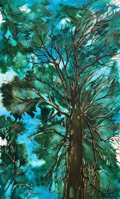 Looking up - Sequester.jpeg