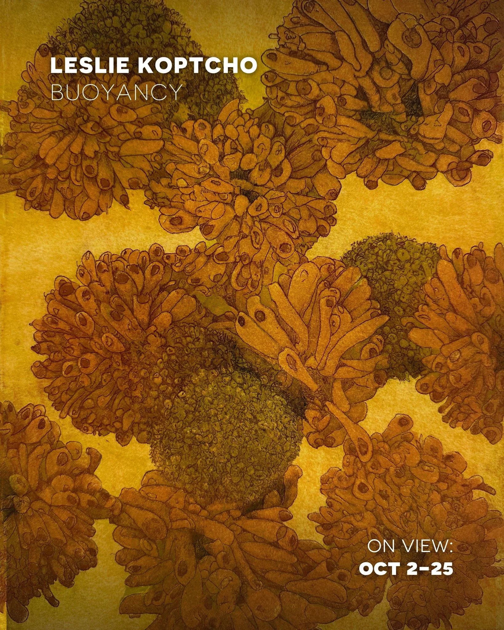 Current Exhibition
BUOYANCY, the newest works of BRG exhibiting artist member Leslie Koptcho. 

On View Oct 2-25
12-6, Tues-Sun
Free &amp; open to all