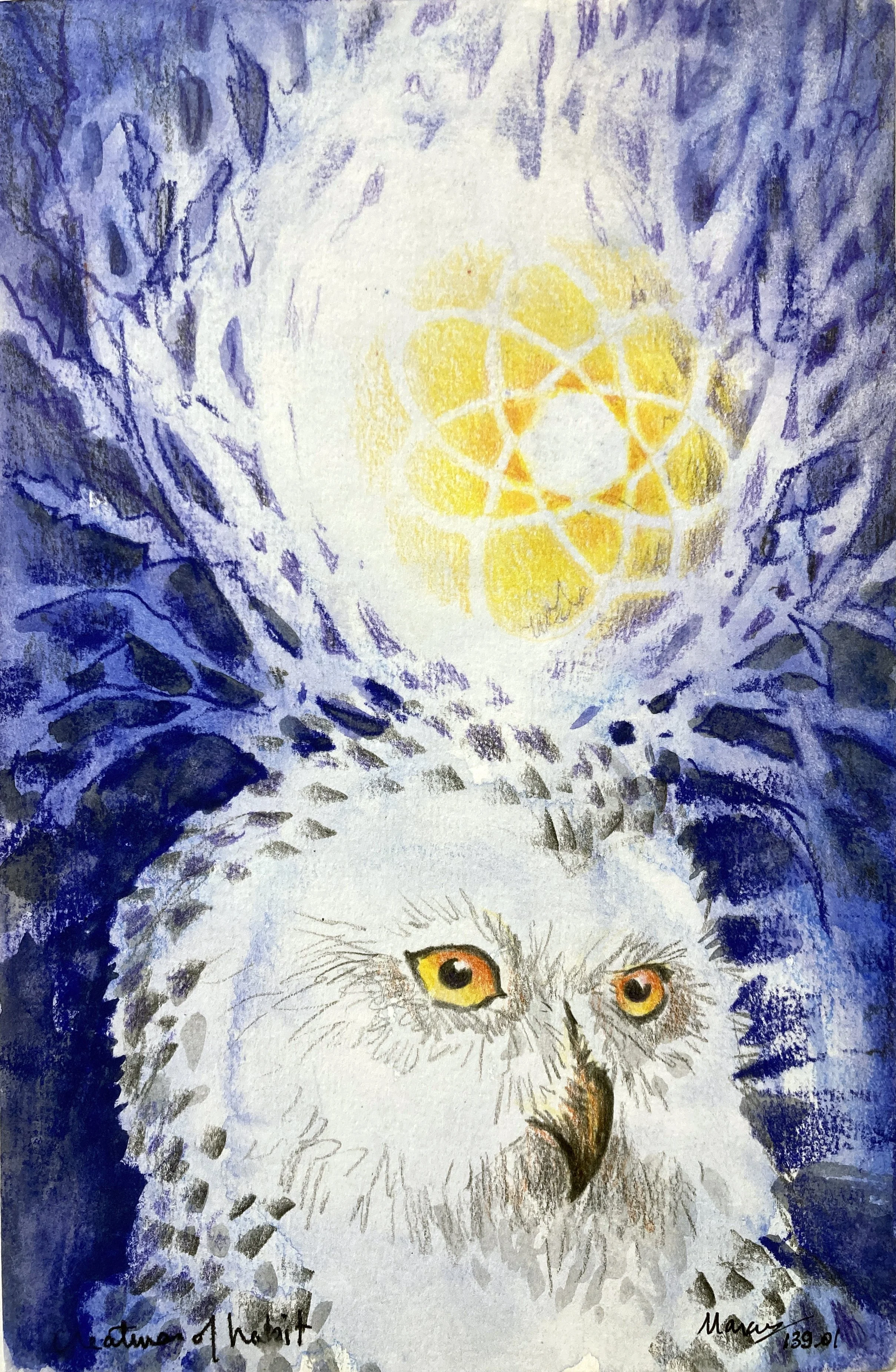 139-01 creature of habit.JPG