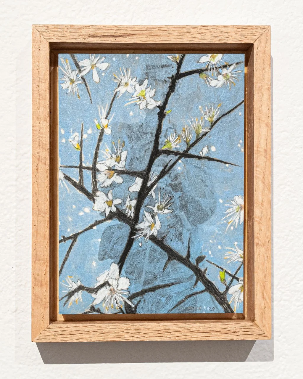 Blackthorn