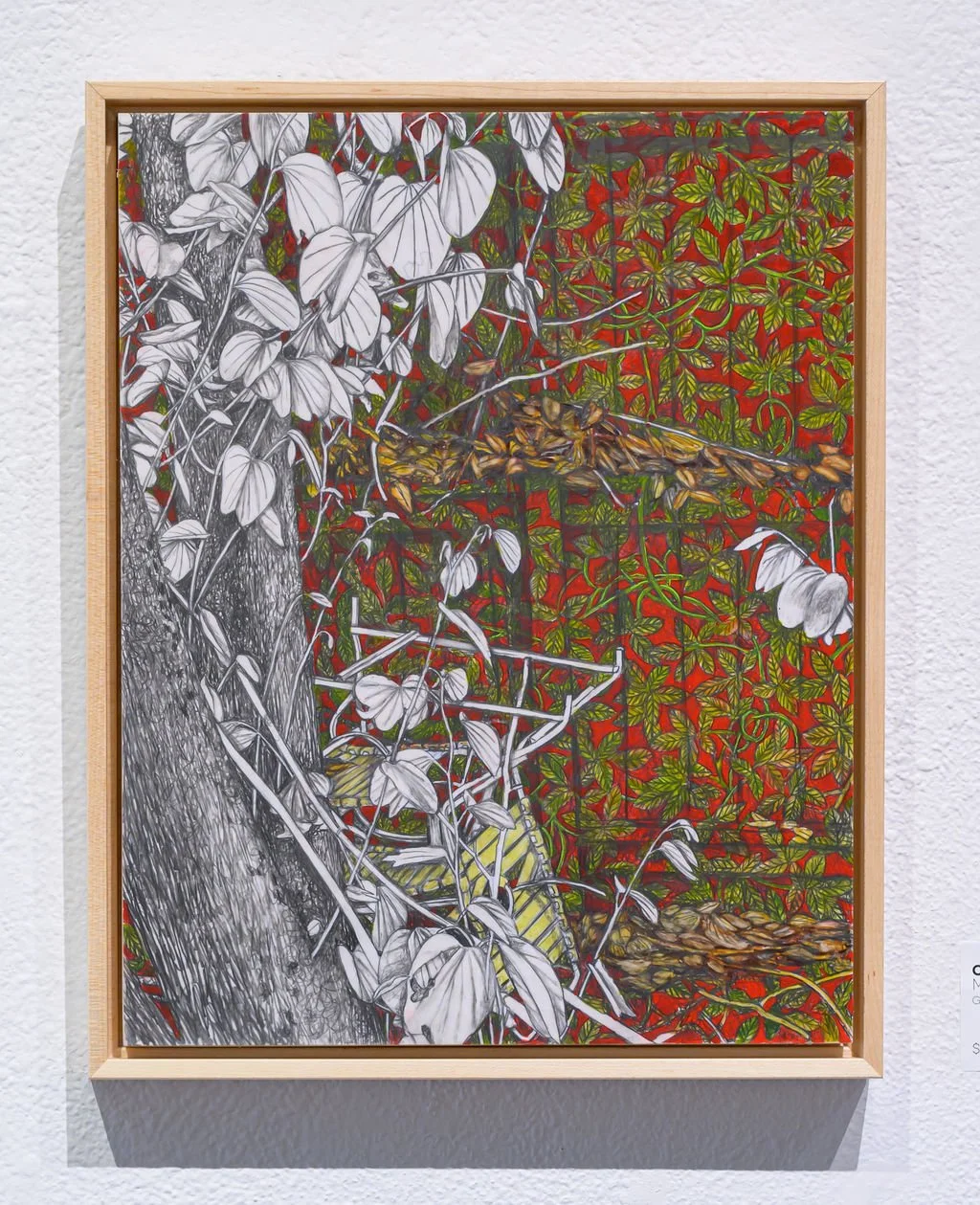 DSC_2210.jpg