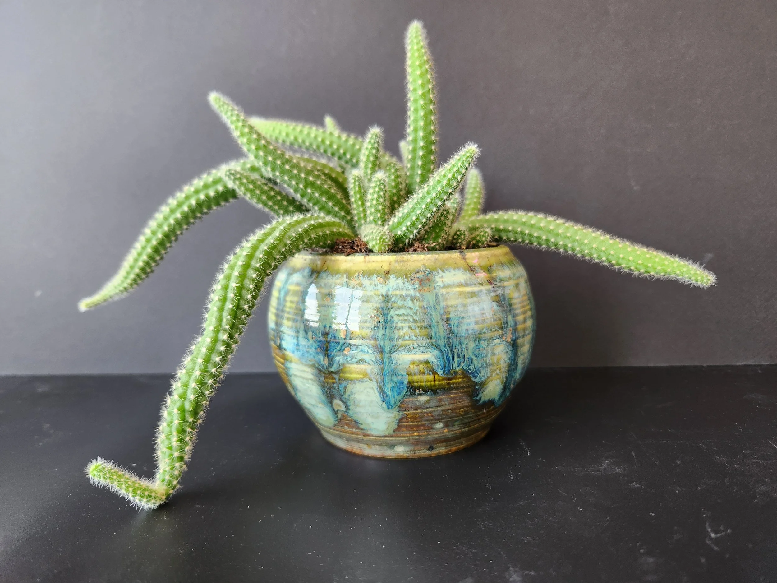 Berrios Jade Tempest 60.jpg