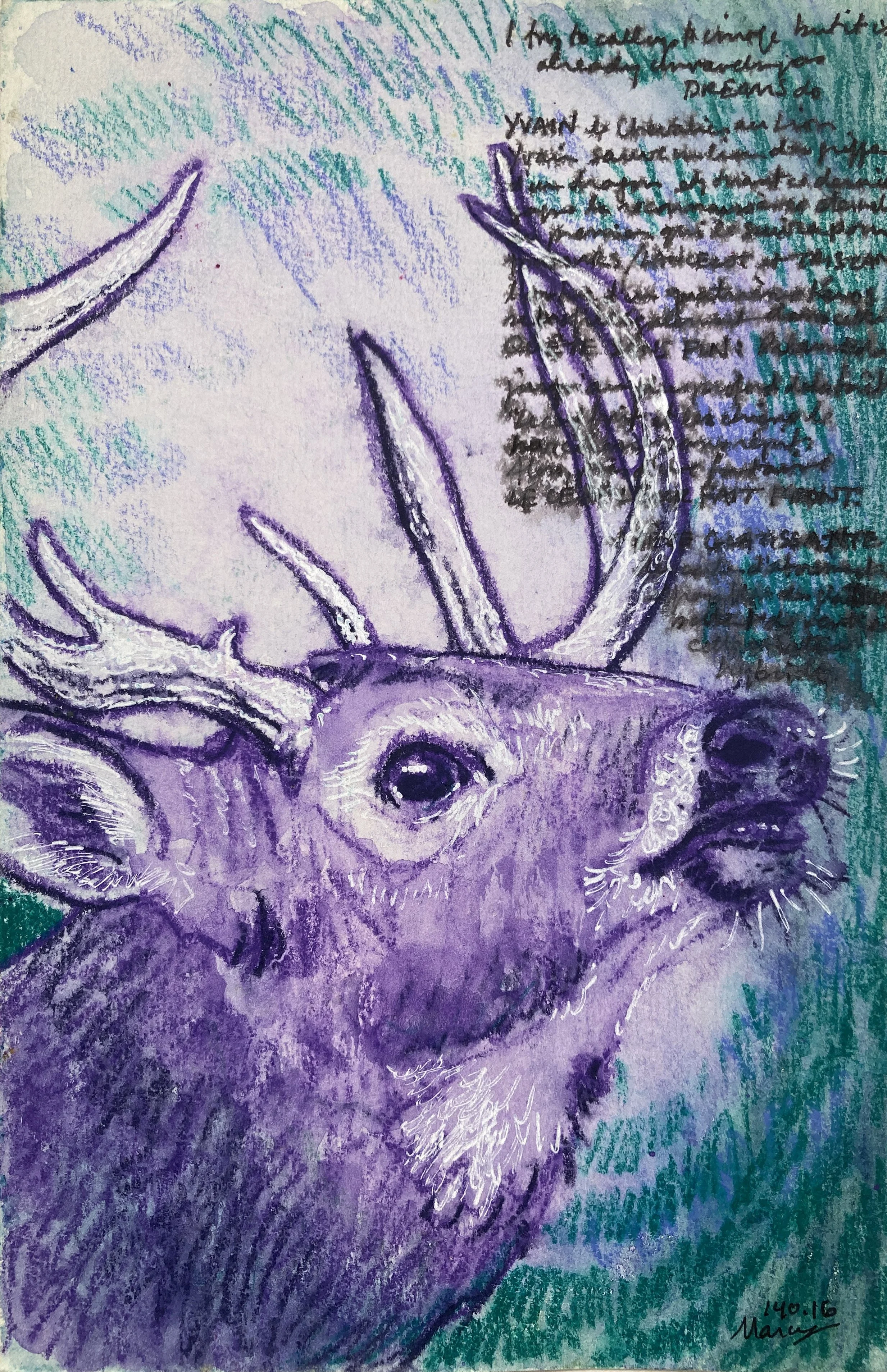 140-16 confrontation.JPG