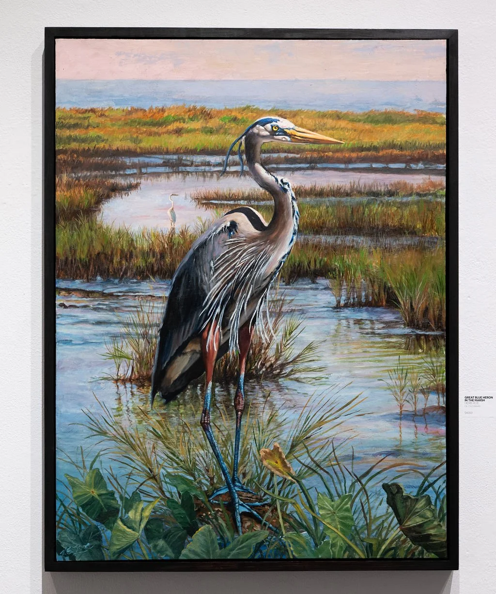 Great Blue Heron in the Marsh