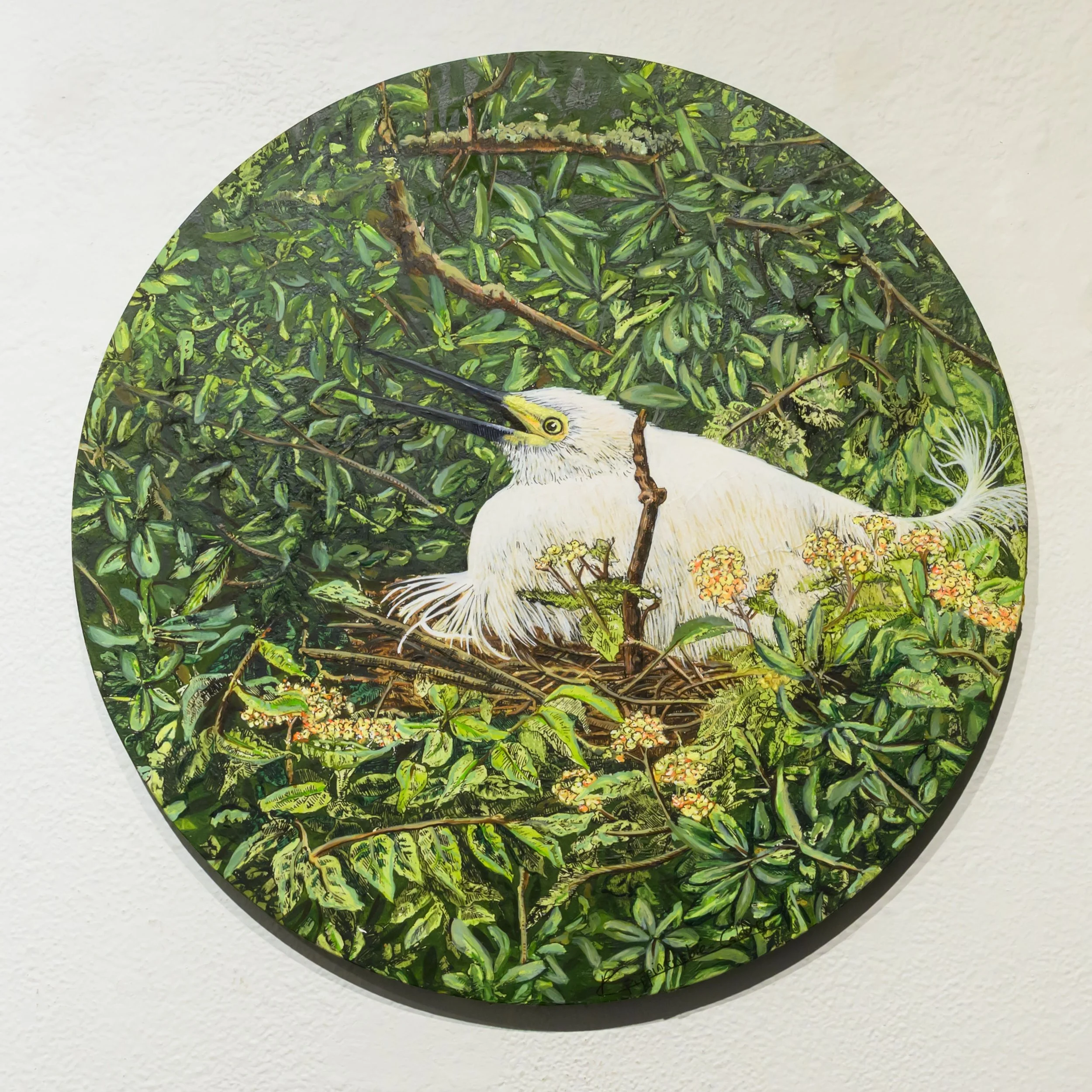 Snowy Egret