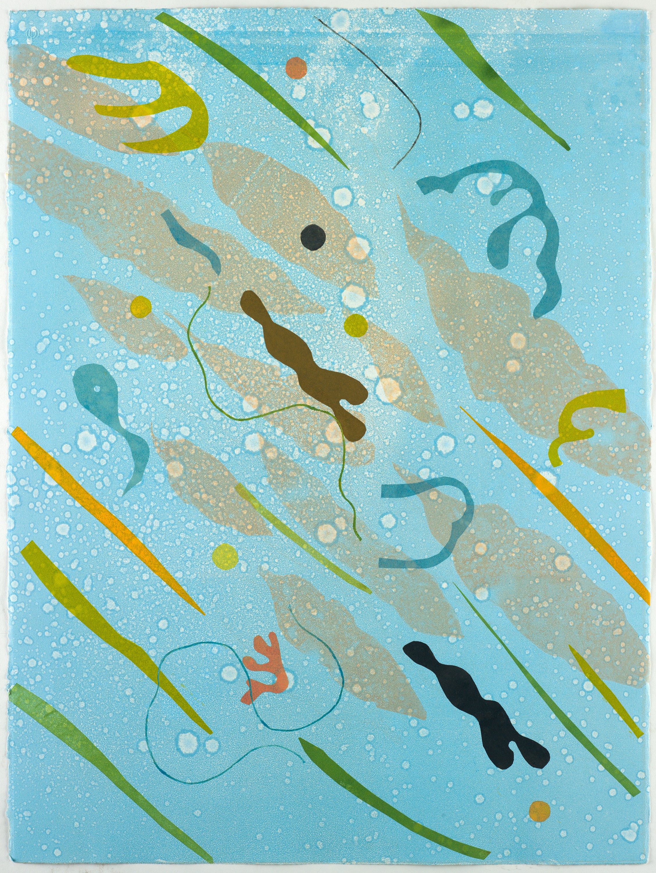 Swimmers