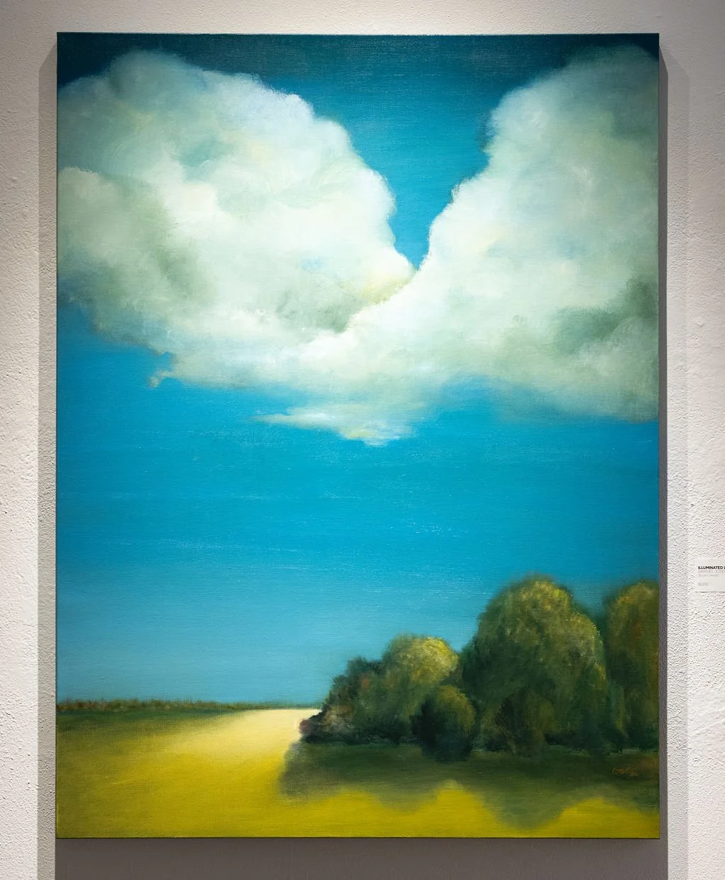 Illuminated Landscape 15