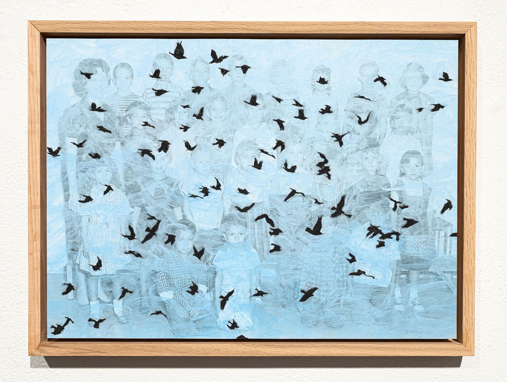 Scatter