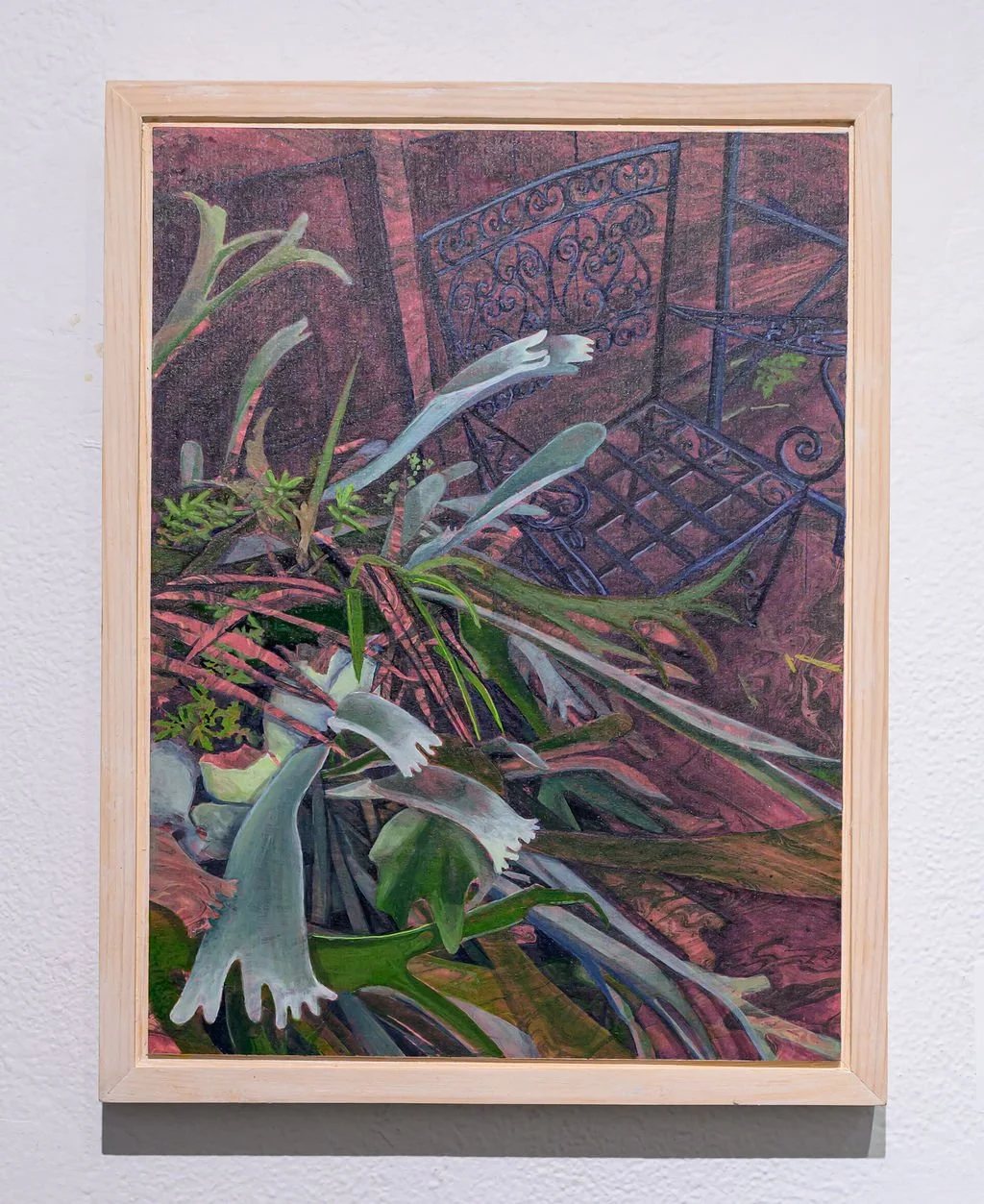 Staghorn
