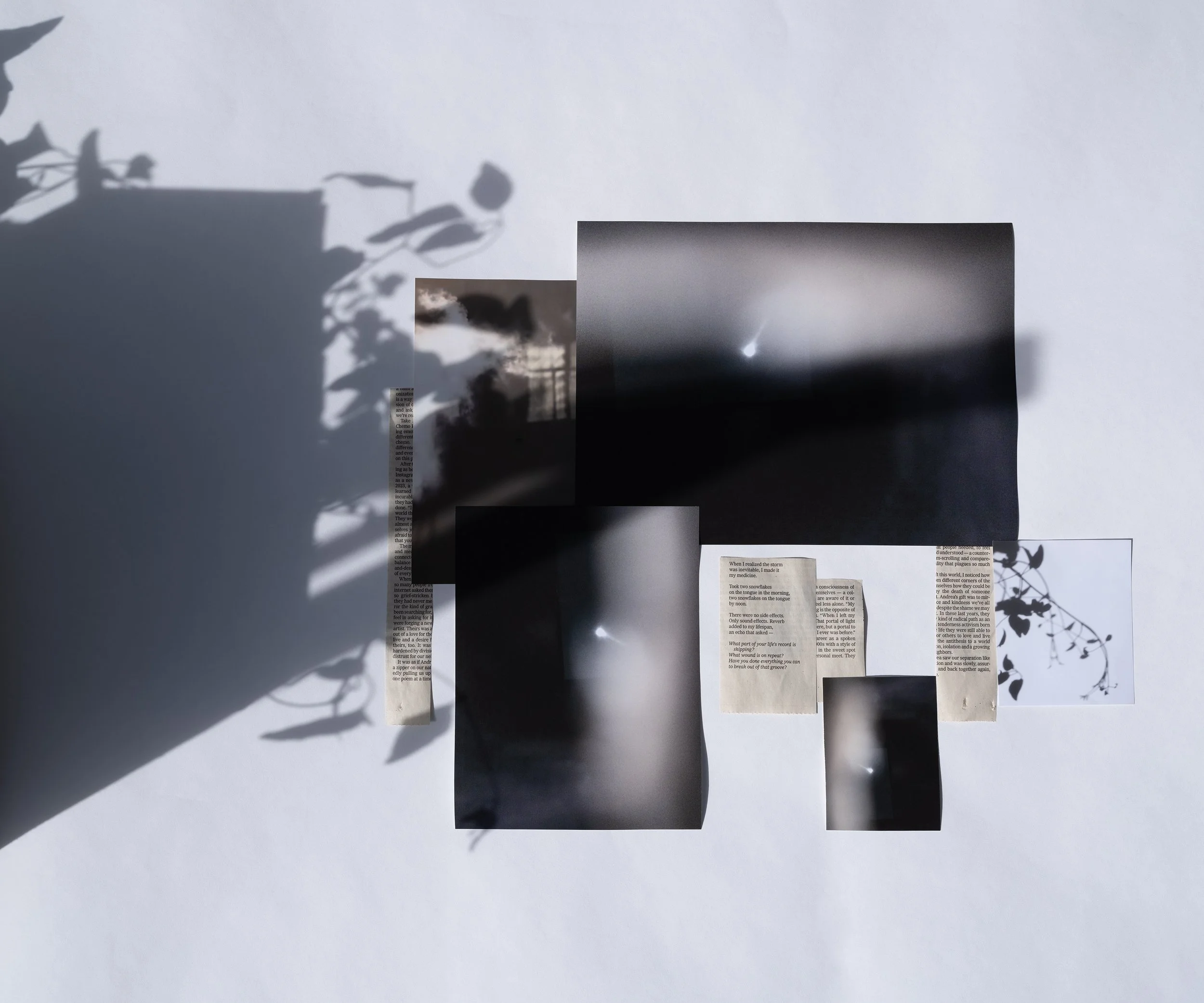 thompson may 2026 show 04.jpg