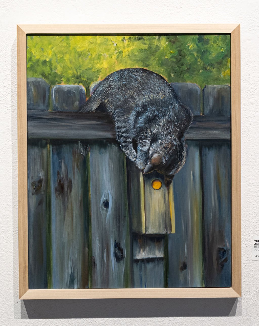 The Case of Sherlock and the Bird Box