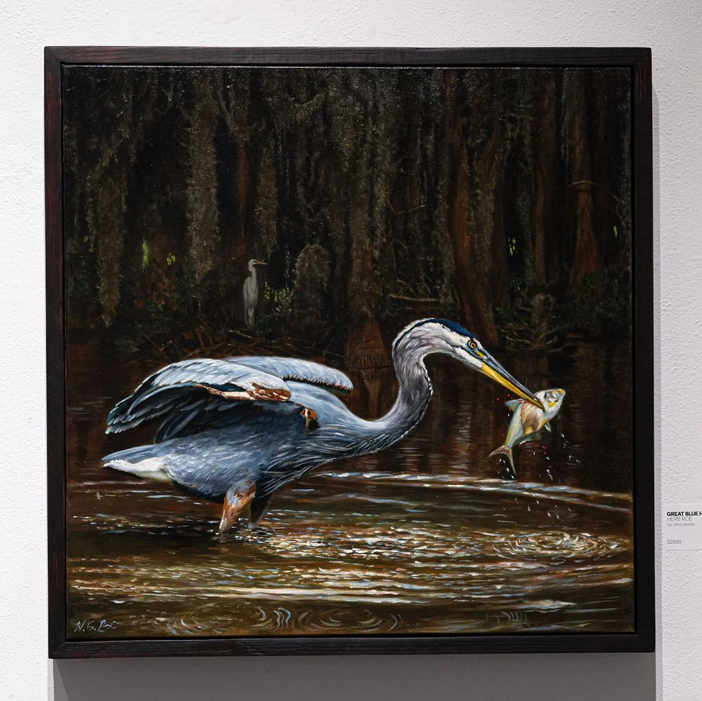 Great Blue Heron Fishing