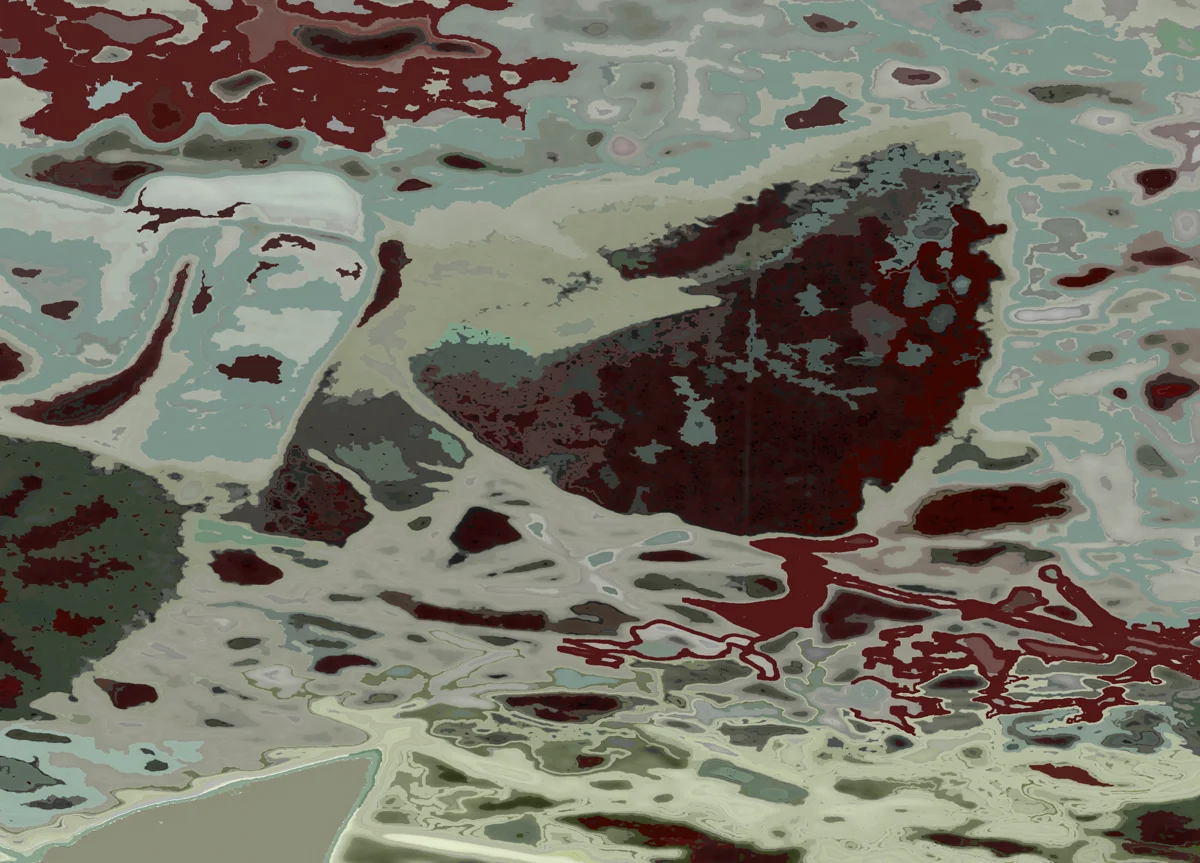 Intermediate Digital Design/Color Theory(College)