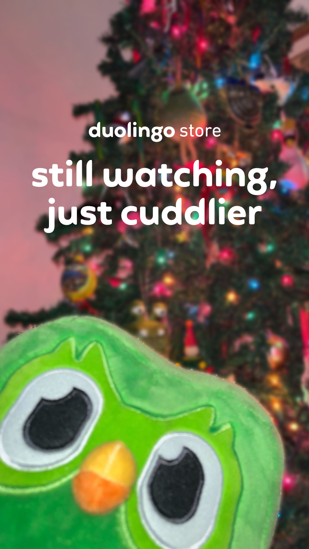 en_duoholiday.duo-photobomb1_9x16.png