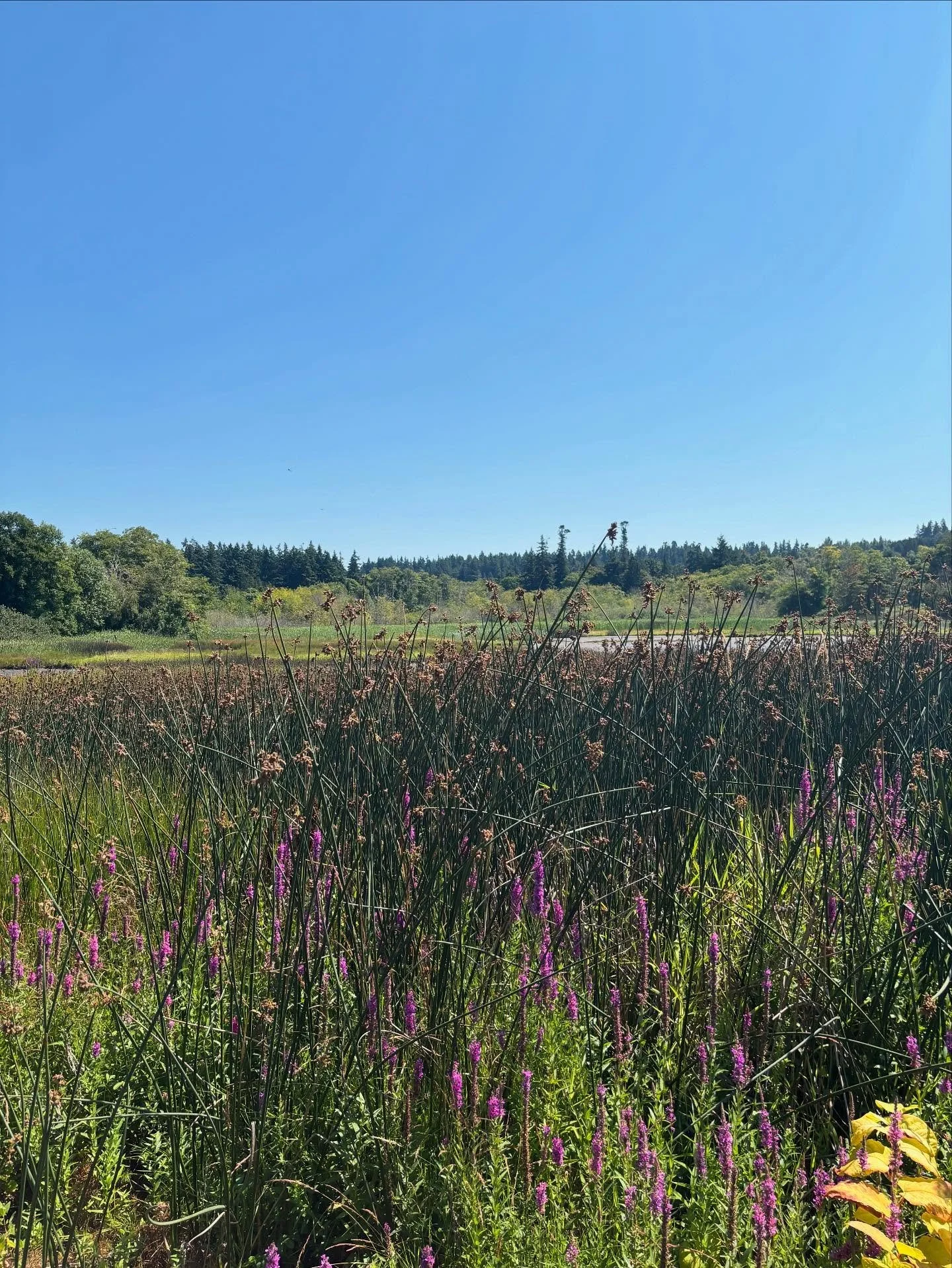 It&rsquo;s a pretty day!