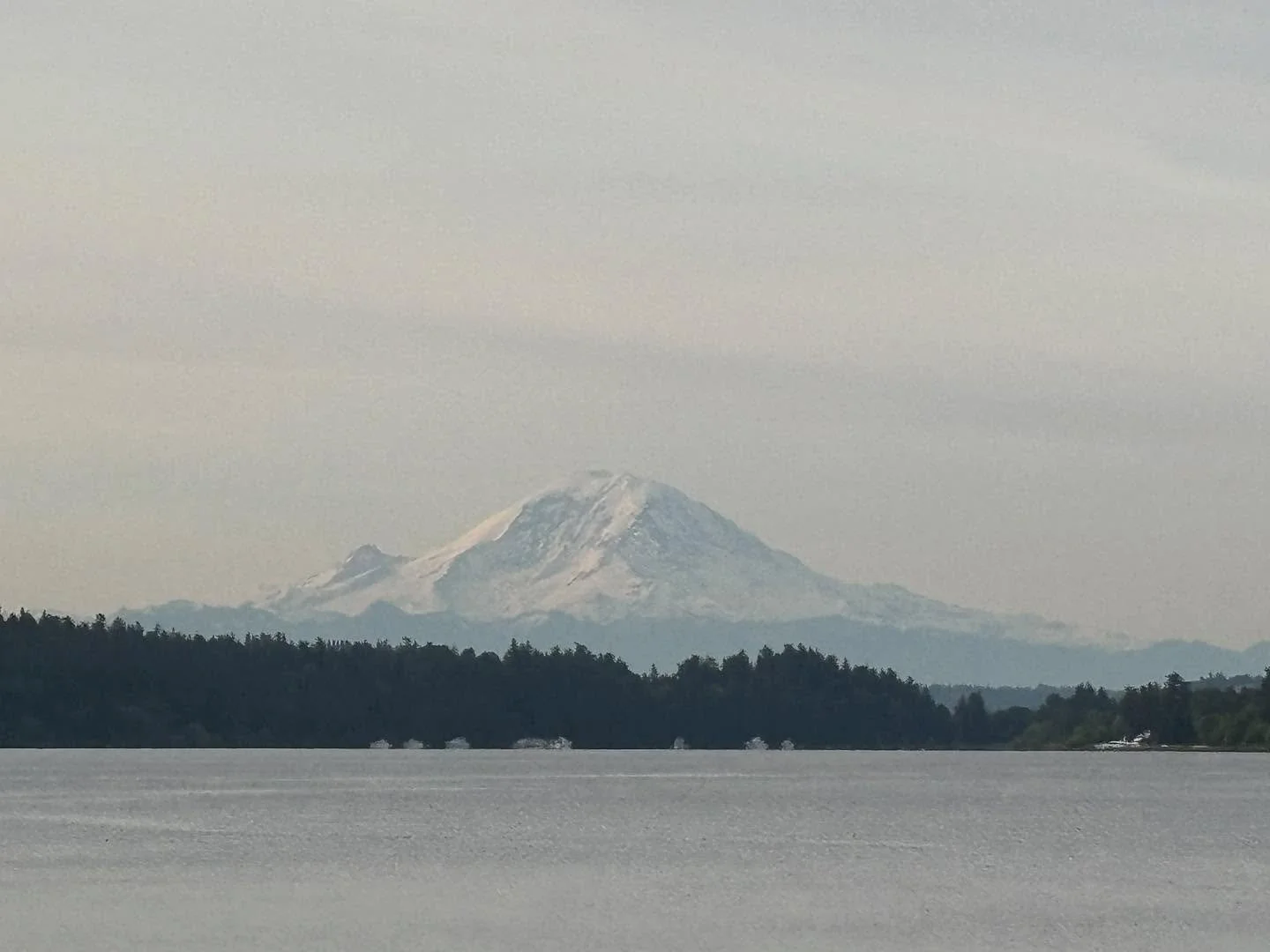 Someone give her a sandwich. She&rsquo;s hungry.