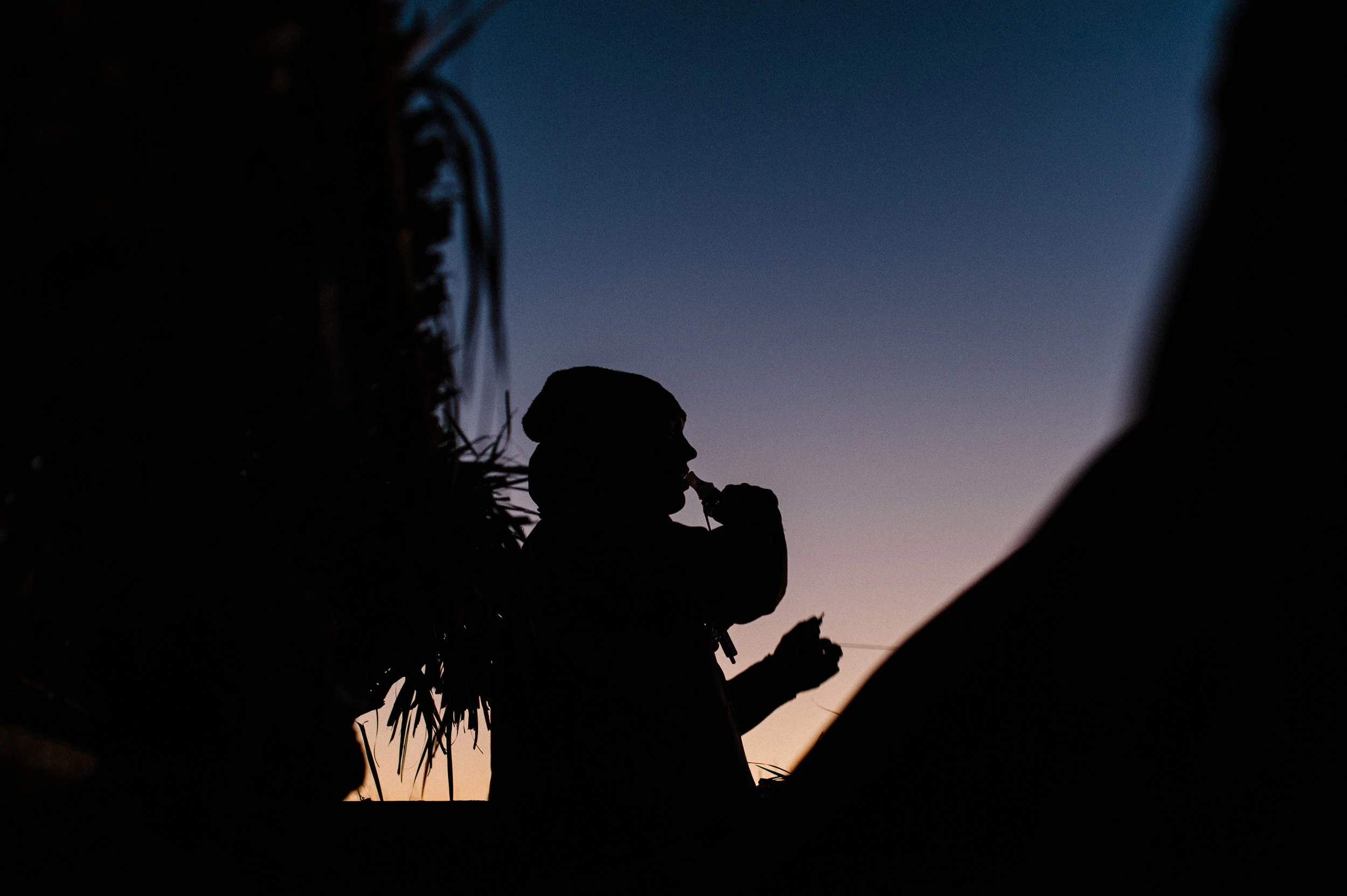CodyBennettPhoto_Waterfowl_32.jpg