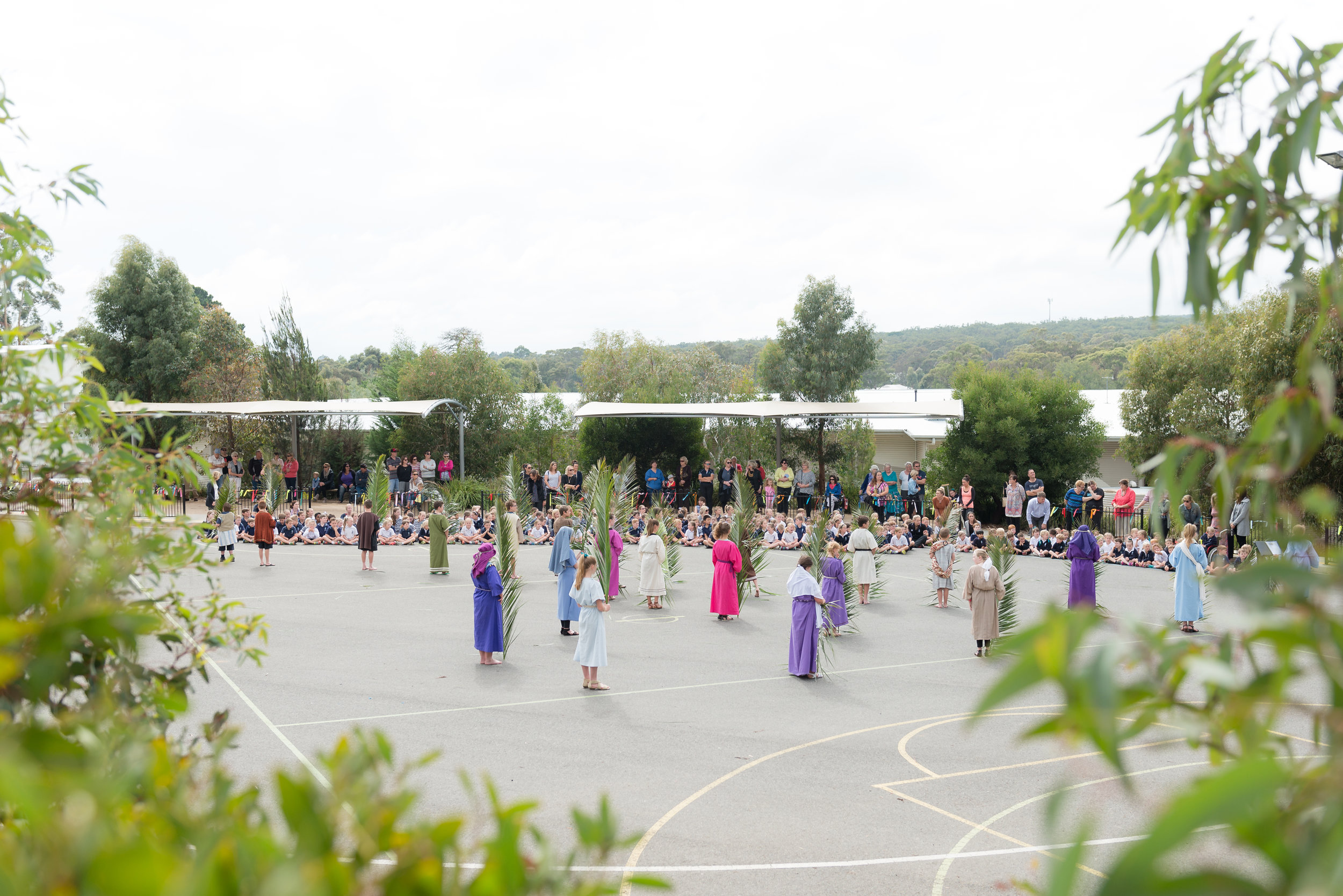 The Final Hours-1.jpg