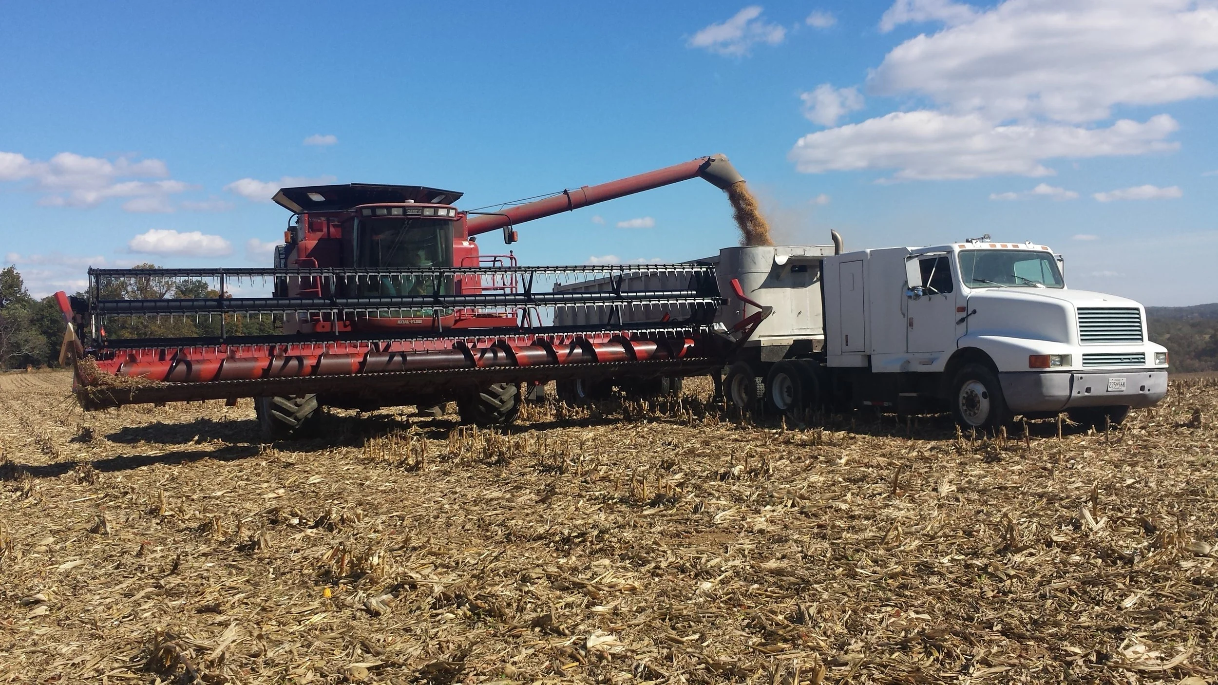 Combine and truck harvest.jpg