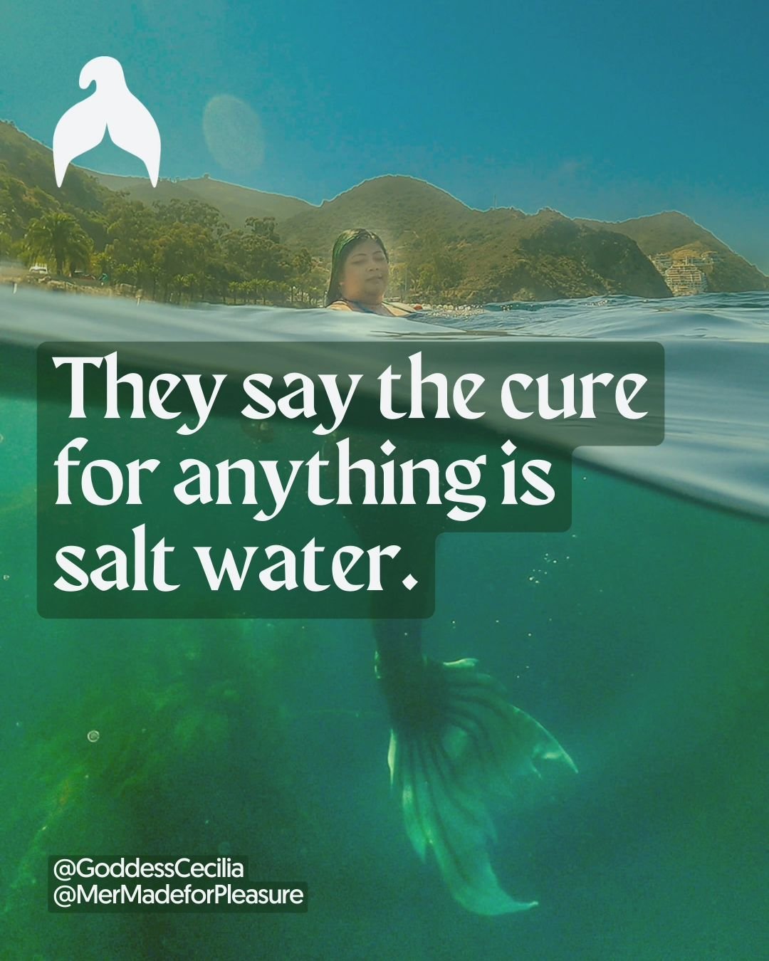 They say the cure for anything is salt water.

I've just been riding the ebbs and flows of emotions. And I feel secure in the feeling that the work continues.

The work continues, the movement continues.
It can't stop, we can't stop. Otherwise, we al