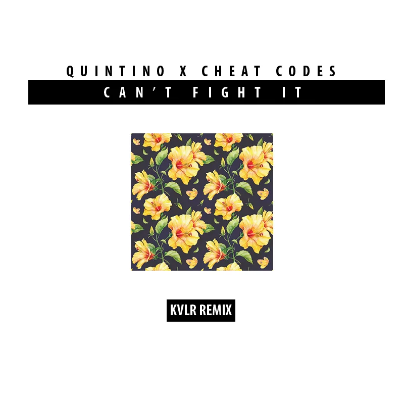 KVLR can't fight it.jpg