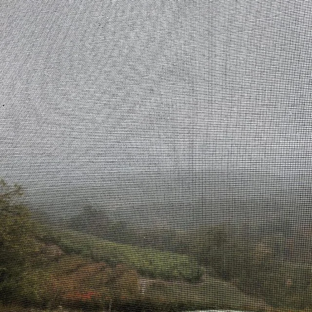 A foggy day in the hills #basketrange #uraidla #adelaidehills