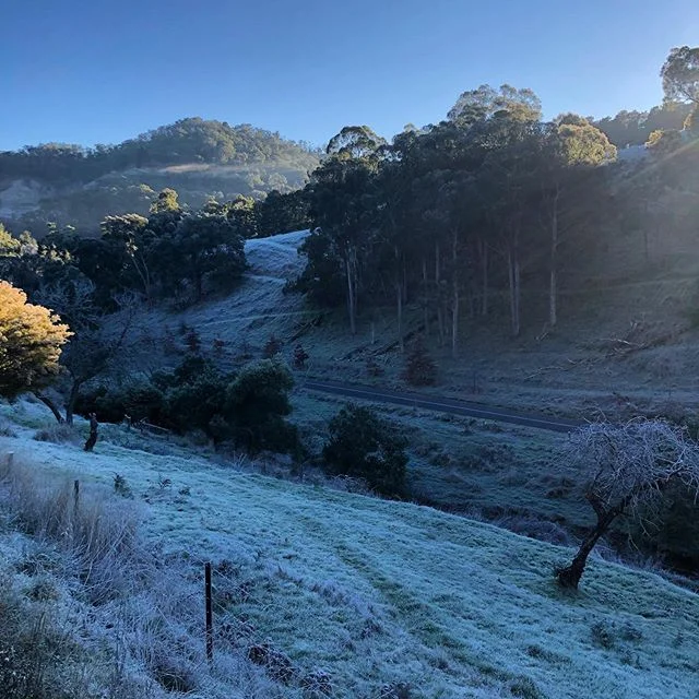 Early frosty mornings #uraidla #basketrange #imagineuraidla
