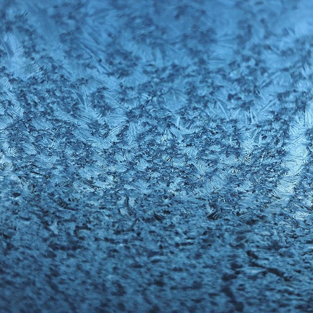 Frosty spring morning ❄️
