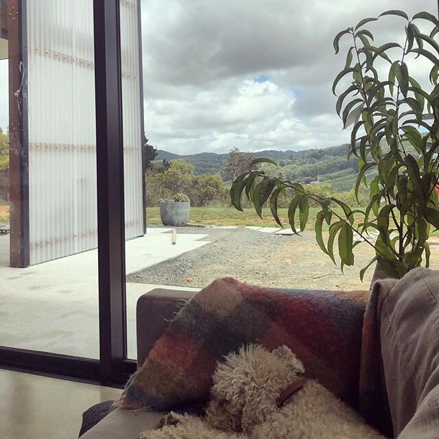Working from home today with this cloudy view