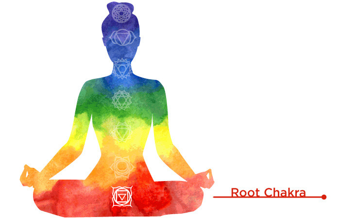 image organics.com