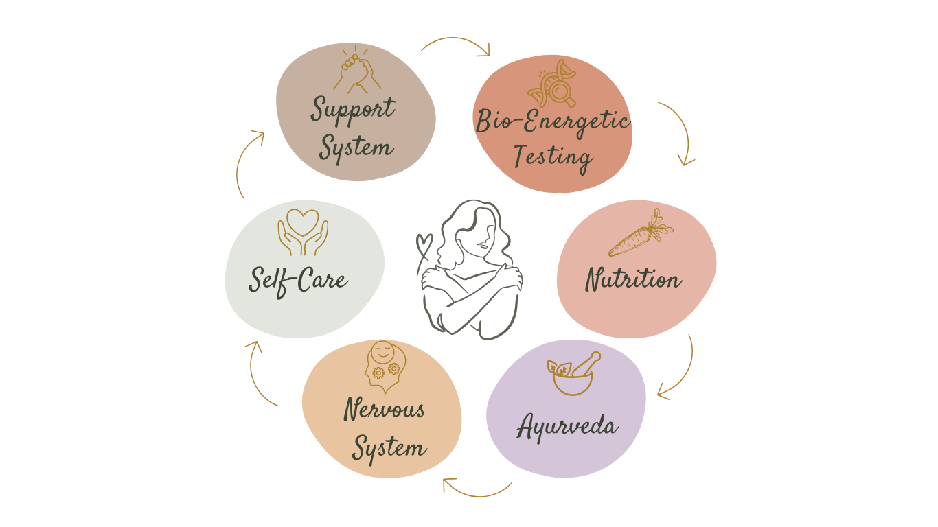 Diagram showing the cycle of self-care involving six interconnected elements of holistic health coach; Support System, Bio-Energetic Testing, Nutrition, Ayurveda, Nervous System, Self-Care, indicating their flow and connection around women's health.