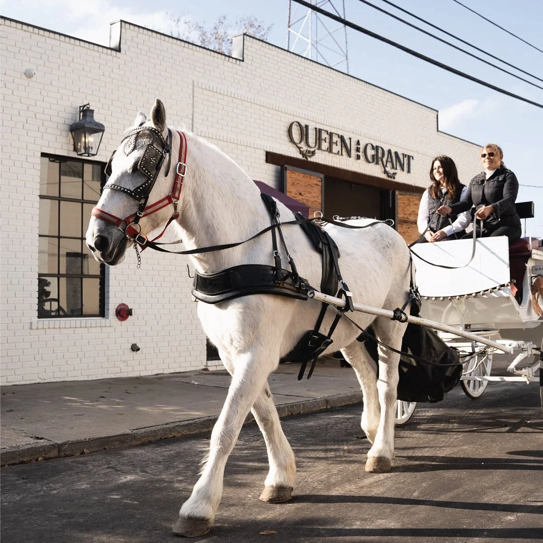 Visual branding and venue details for @queenandgrant and @portcitybrunswick. Photos by @gavinsellerscreative