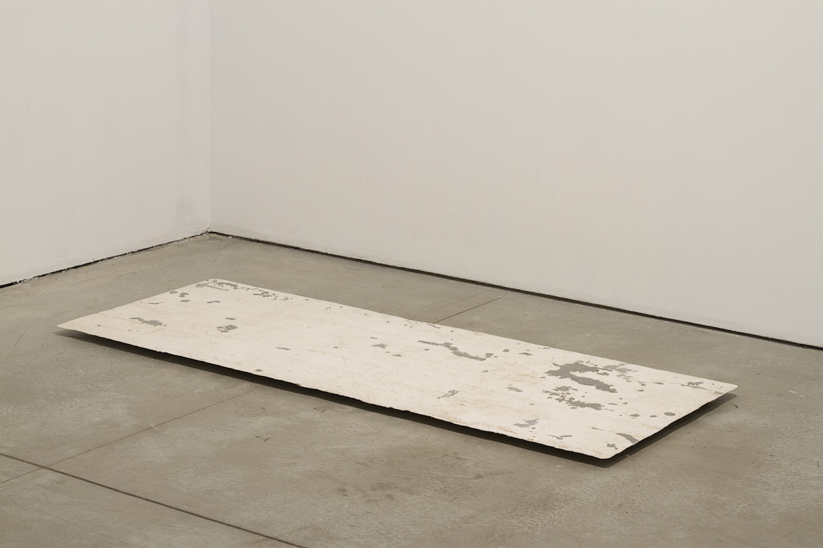 Dump Fell Floor, 2013