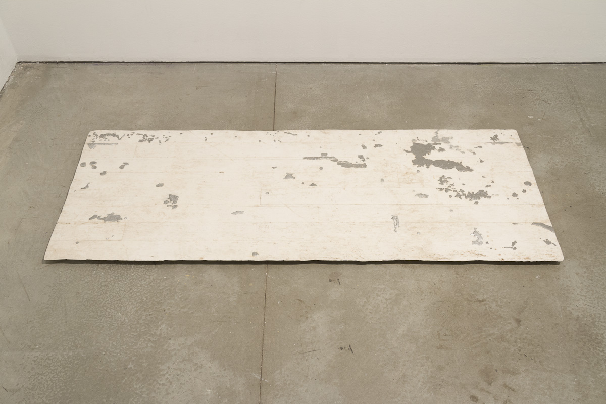 Dump Fell Floor, 2013